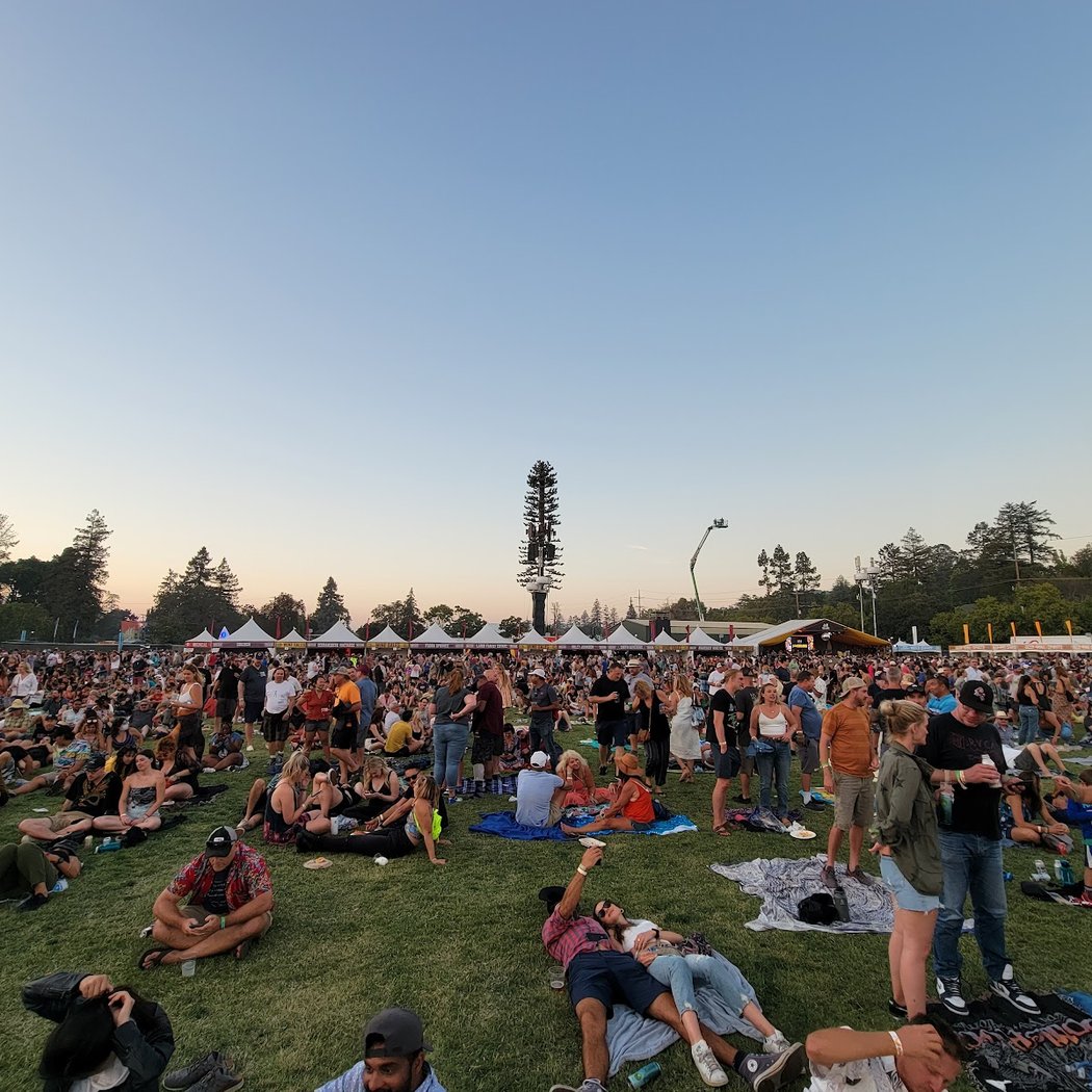 Napa Town and Country Fair 3