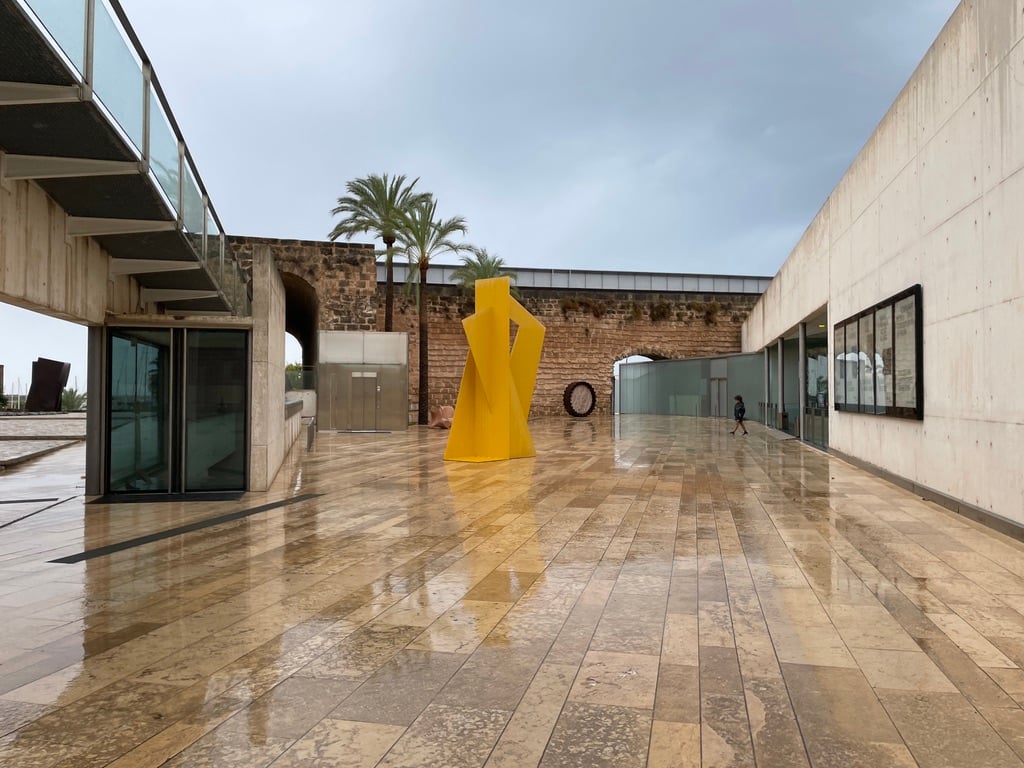 Es Baluard Museu d'Art Contemporani de Palma 4