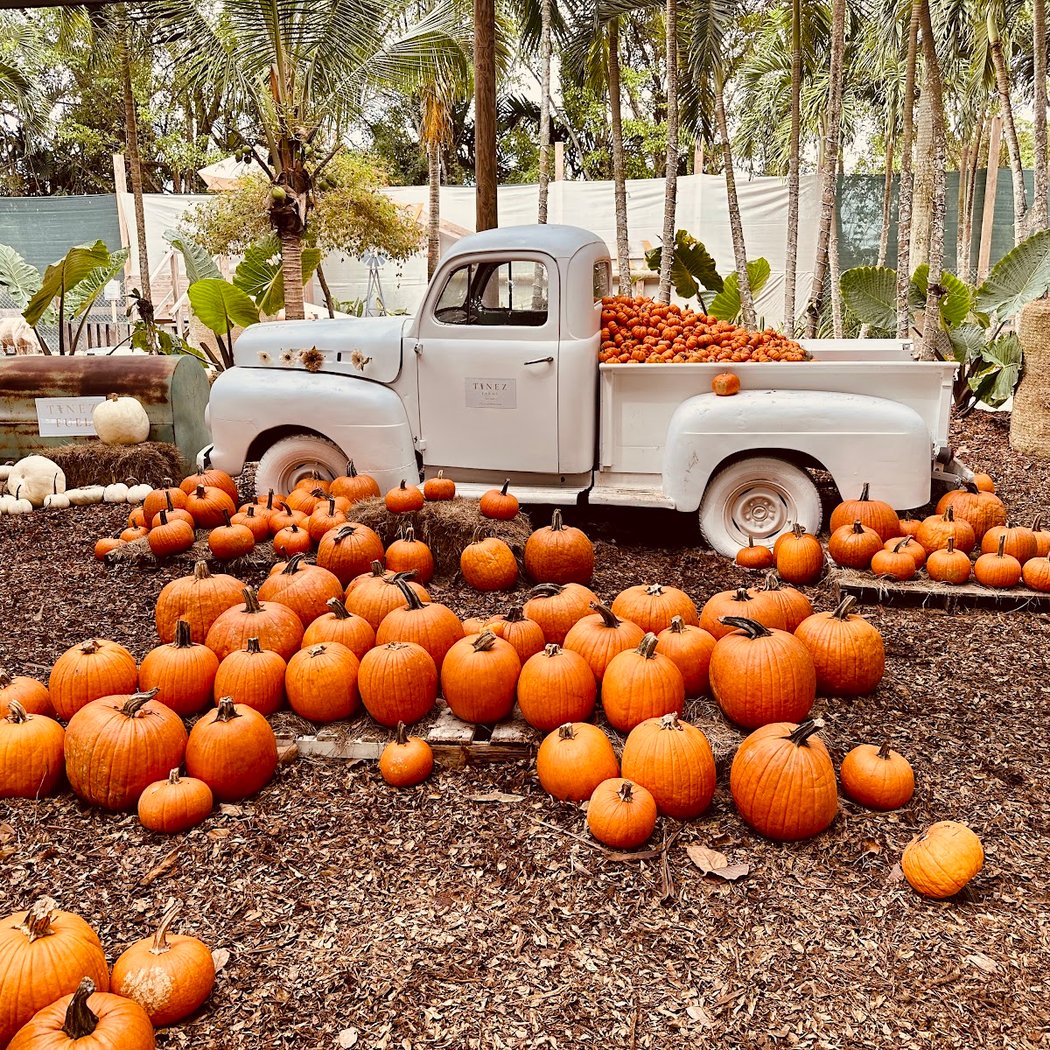 Tinez Farms 2