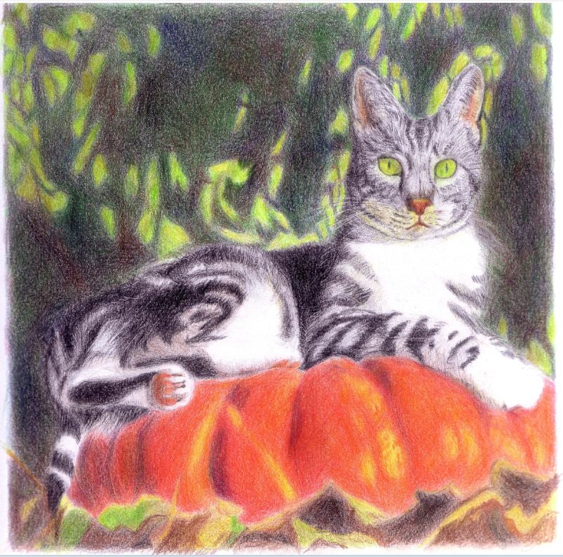Nathalie Avril cours de dessin 1
