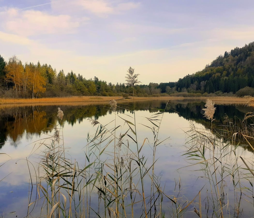 Lacs d'Étival 4