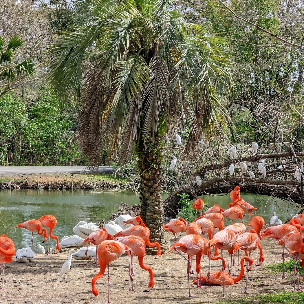 Audubon Park 3