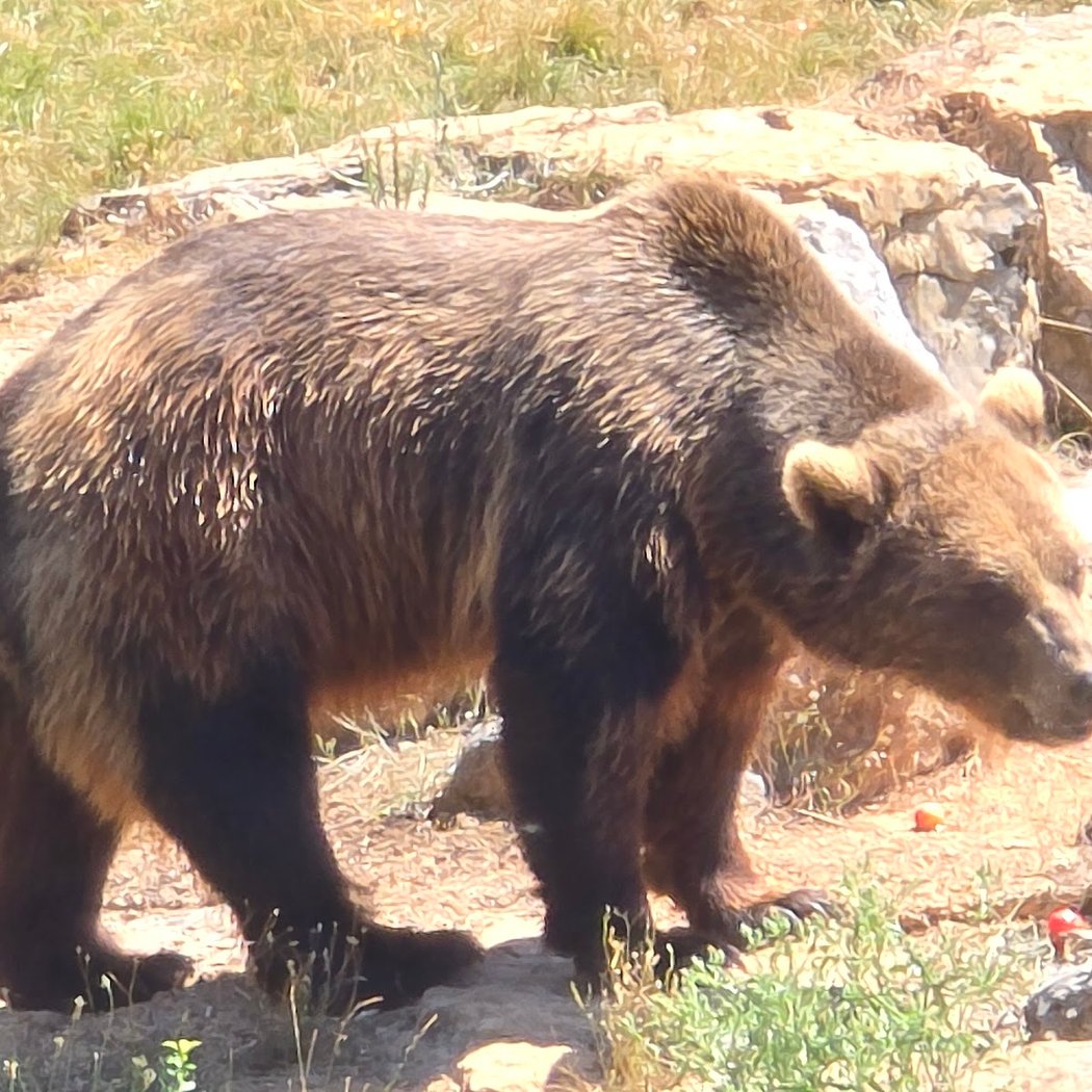 Animal Park of Gramat 2