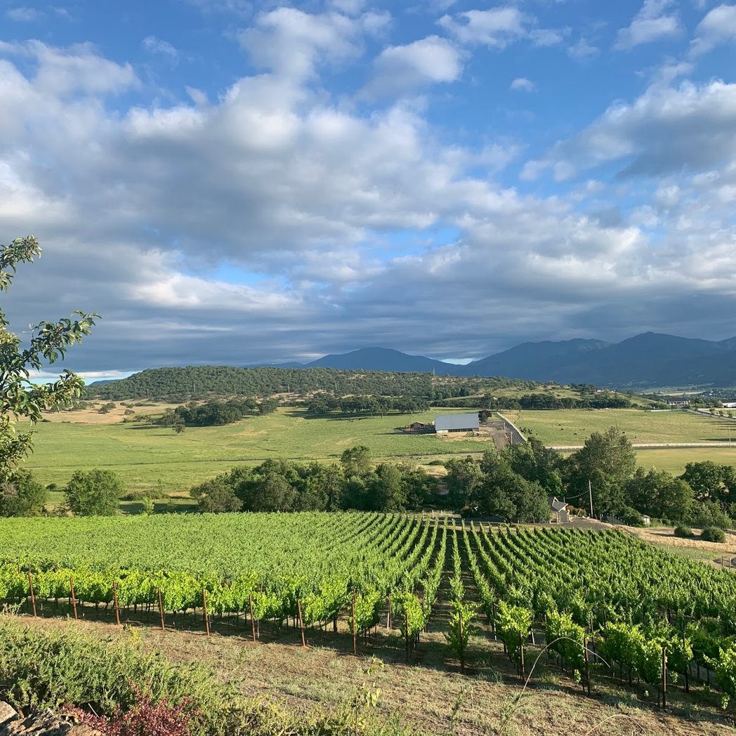 Peter William Vineyard 1