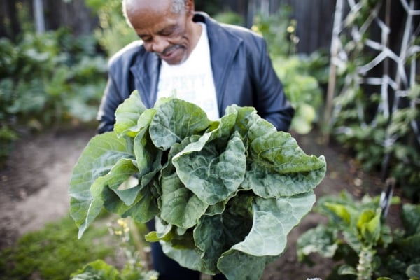 Volunteer at East Palo Alto Community Garden 1