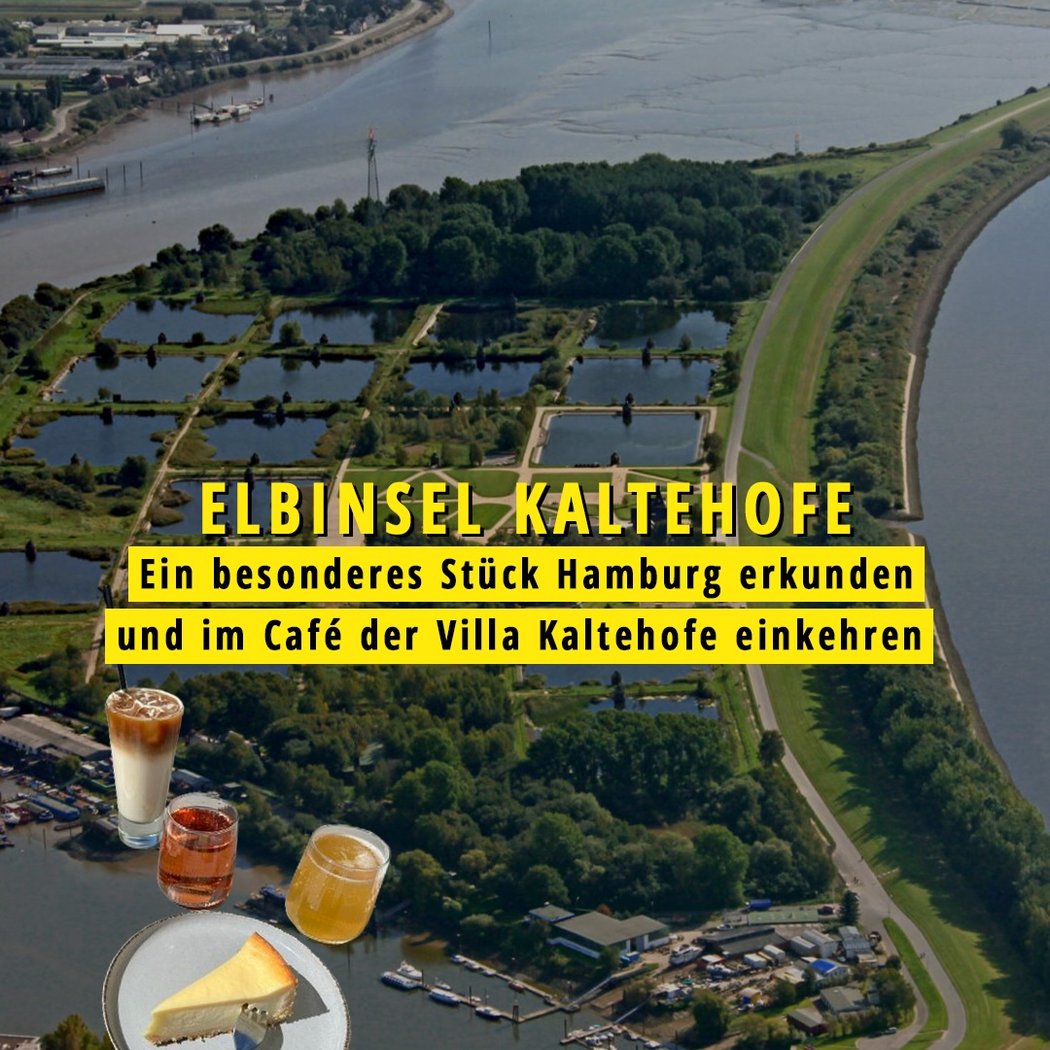Water Art Elbinsel Kaltehofe 1