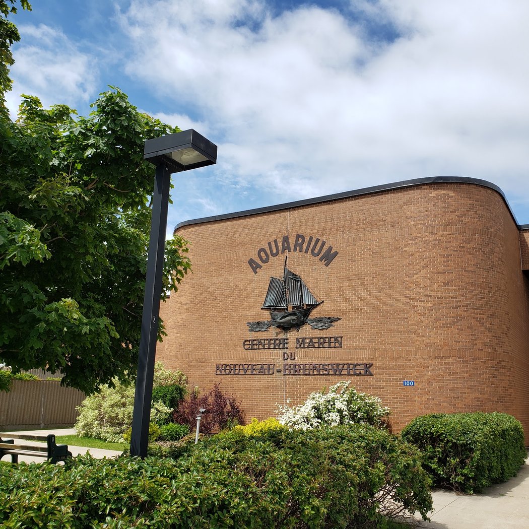 Shippagan Aquarium 3