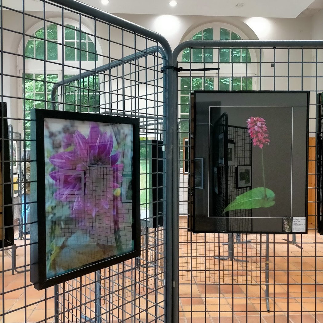 L’arbre en scène… s’expose 3