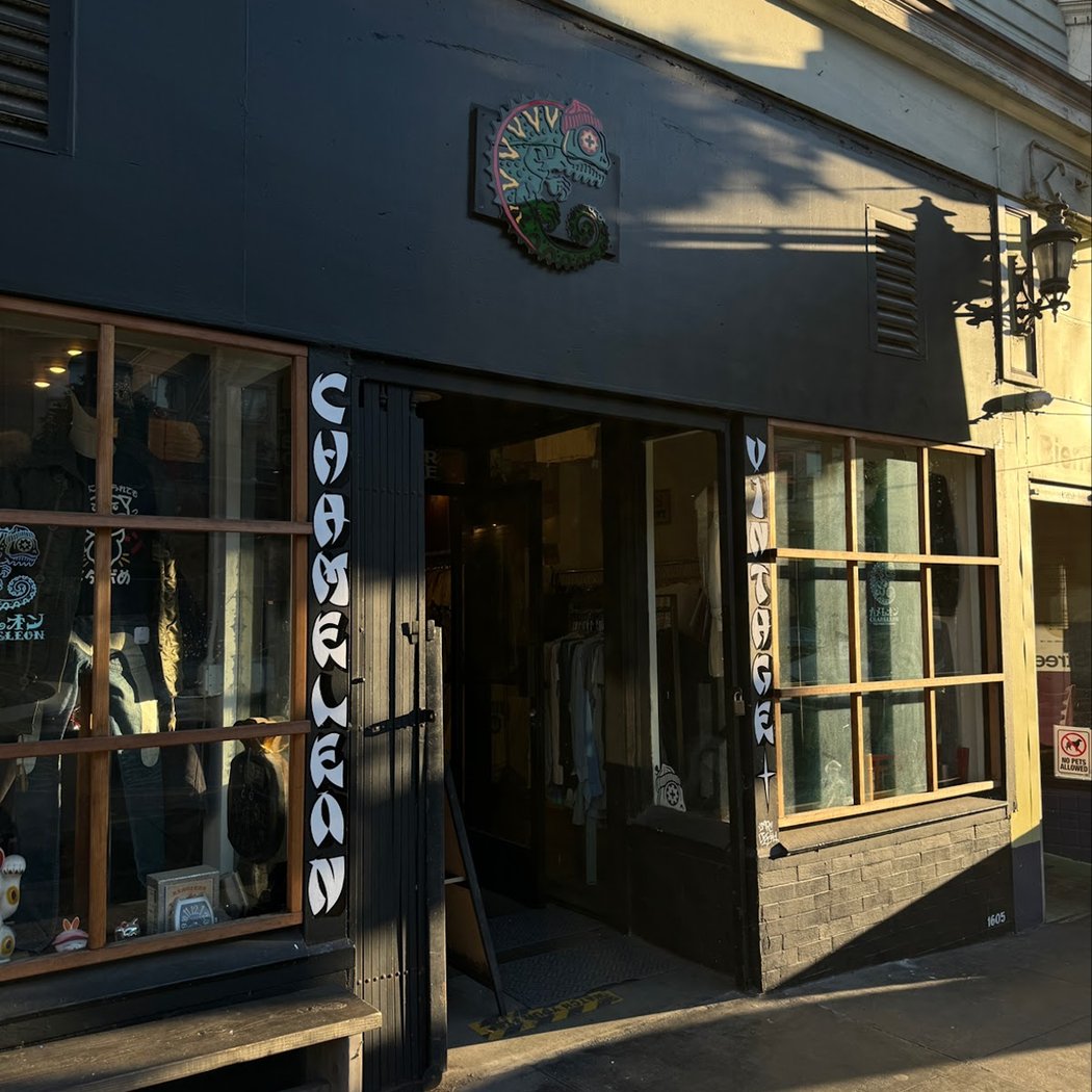 Chameleon Vintage Haight 2