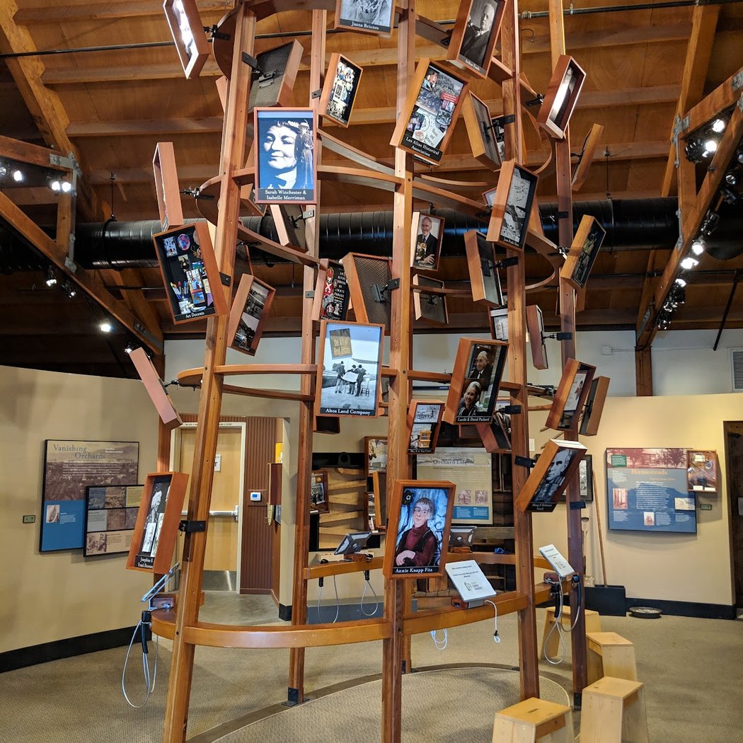 Portraits of Los Altos