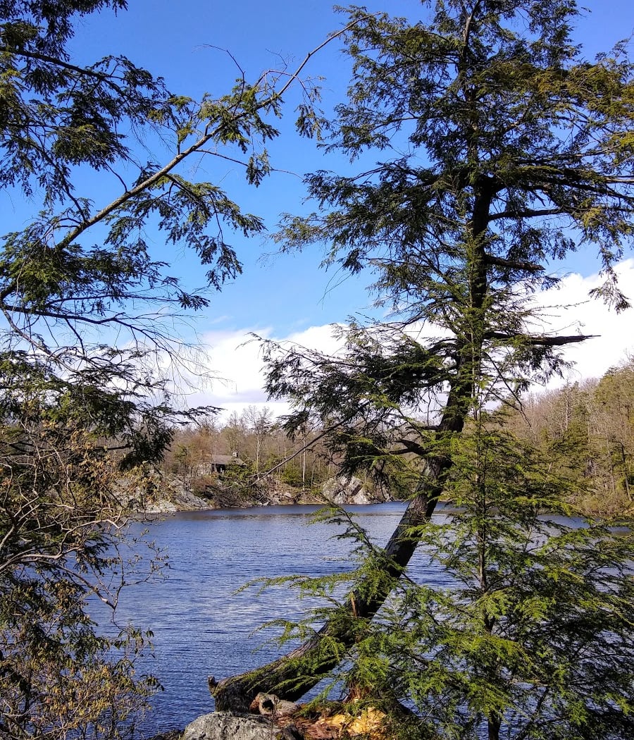 Pelton Pond 2