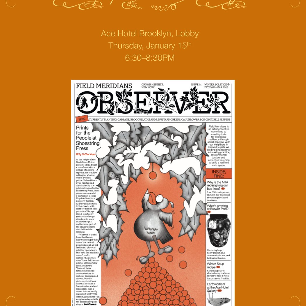 Field Meridians Observer Issue 1: Newspaper Launch Party 1