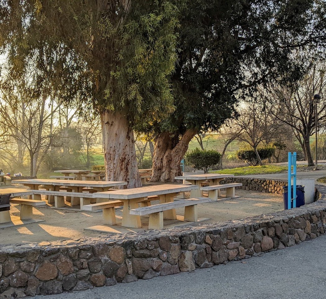 Jensen Family Grove 2