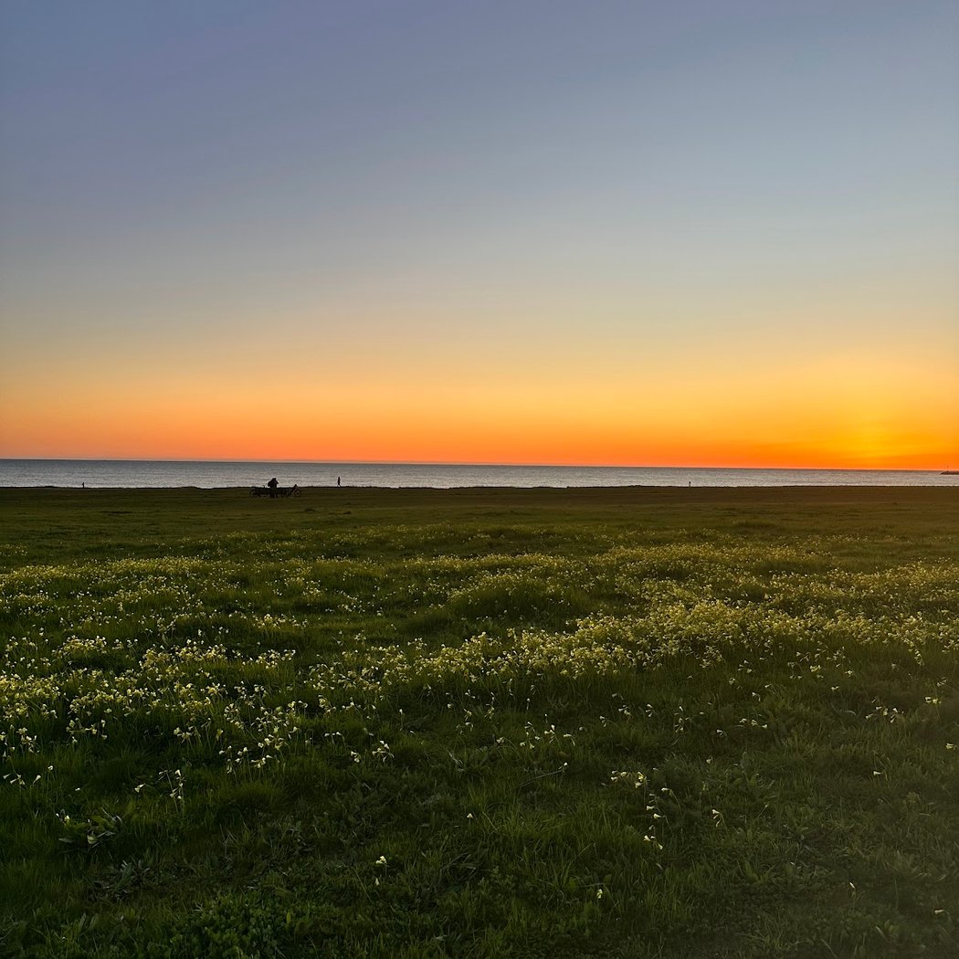 Picnic ground near Half Moon bay 2
