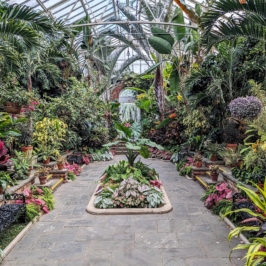 Main Greenhouse / Hibiscus House, Planting Fields Arboretum 1