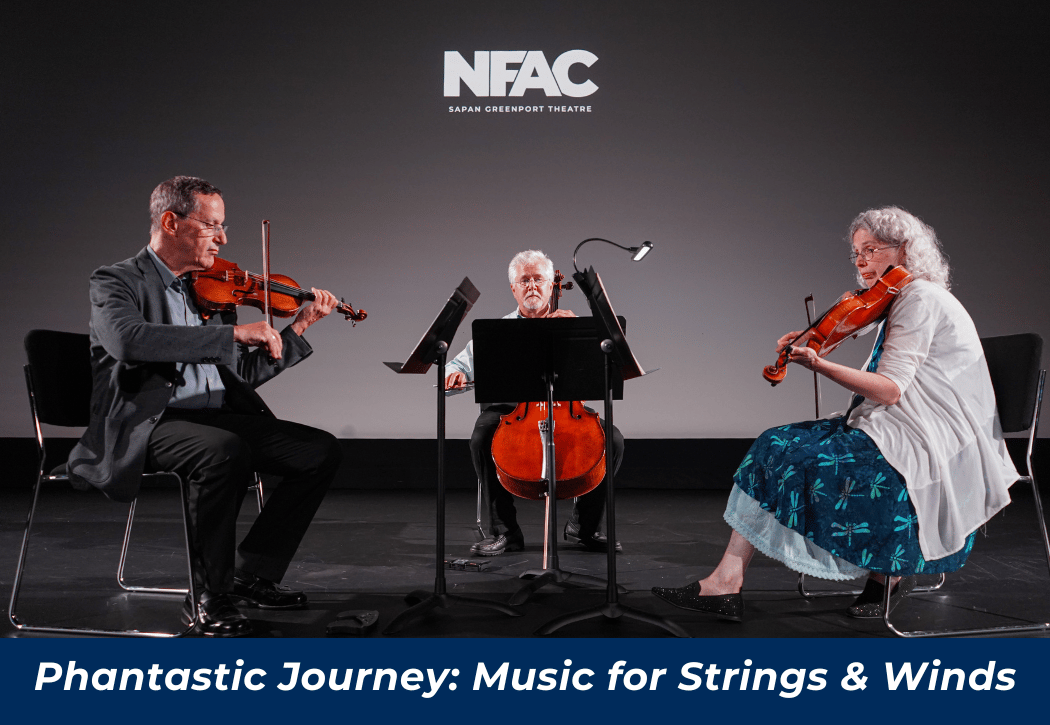 Phantastic Journey: Music for Strings and Winds 1