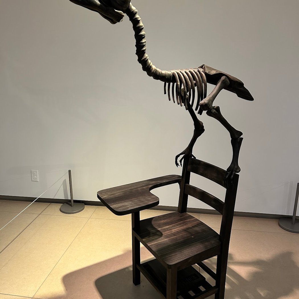 Rose Art Museum 3
