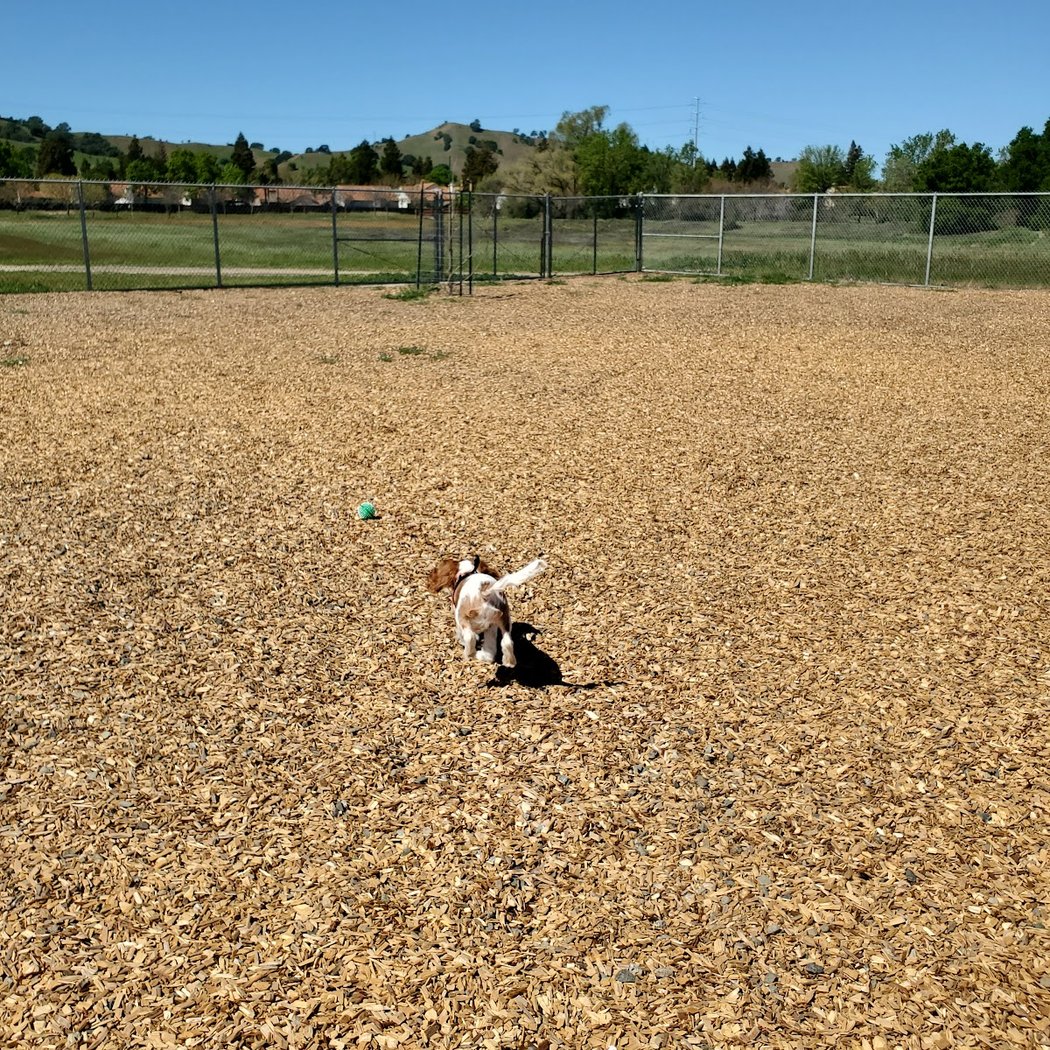 Centennial Dog Park 3
