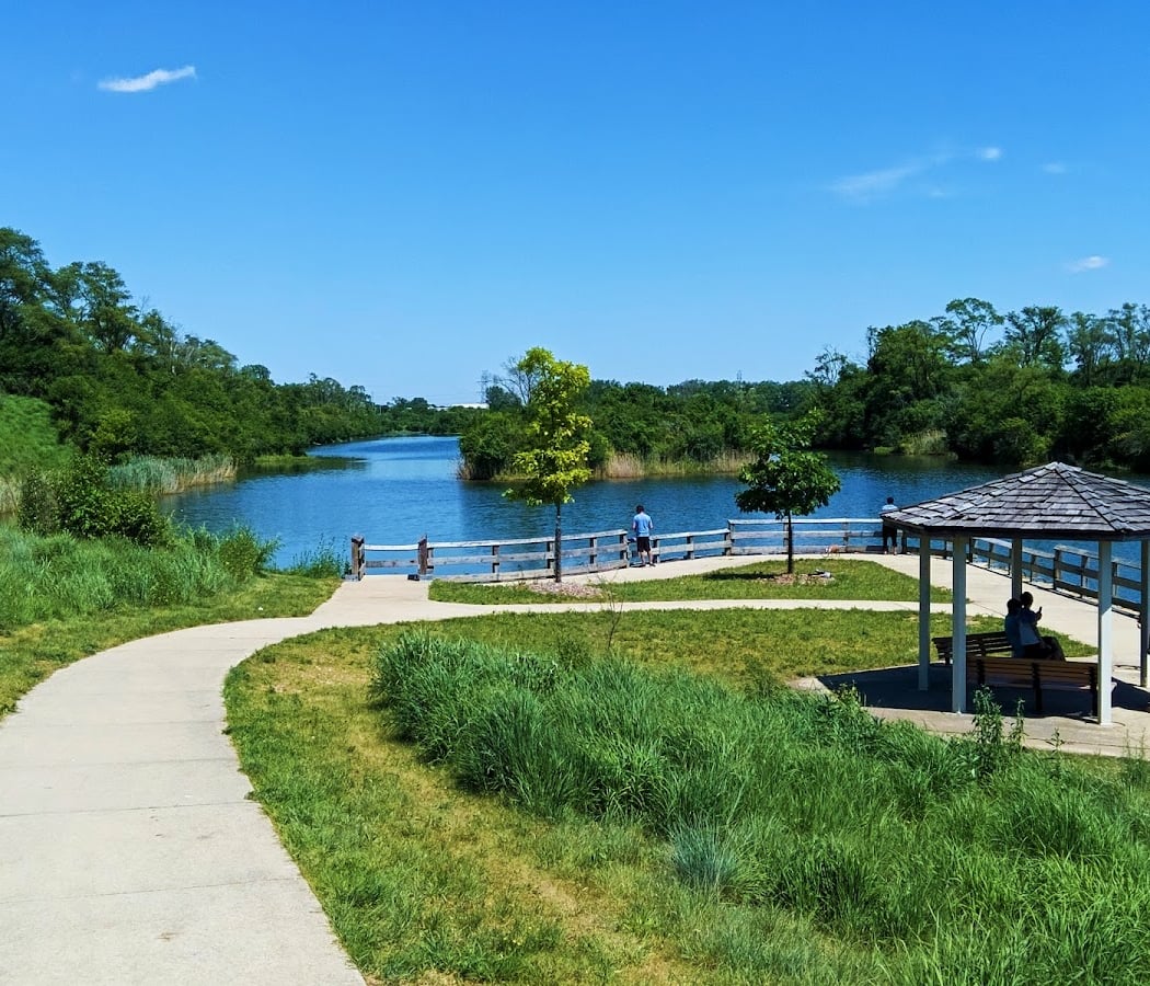 Lake Renwick Migratory Bird Viewing 2