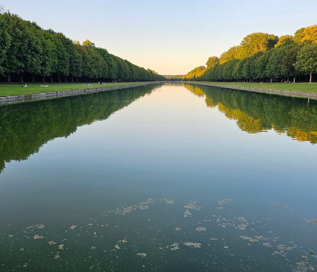 Grandeur Nature II. L'esprit de la forêt 2