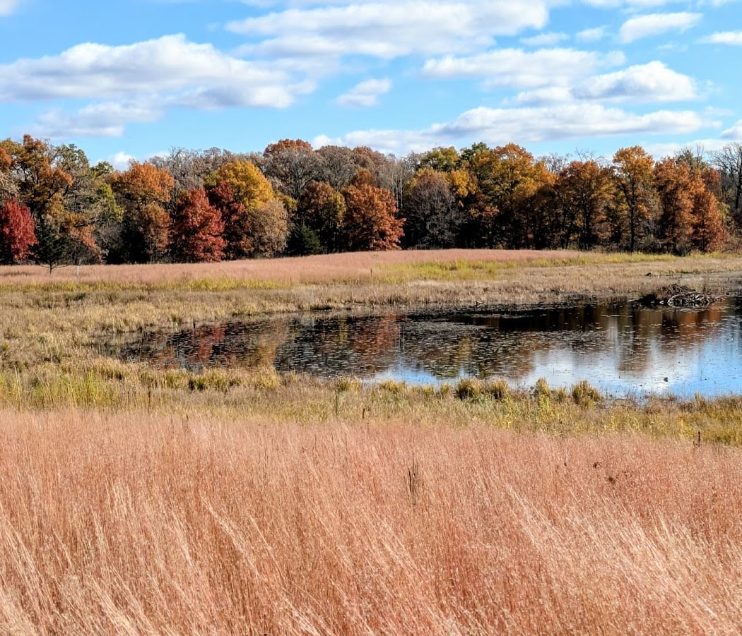 Rum River Central Regional Park 1