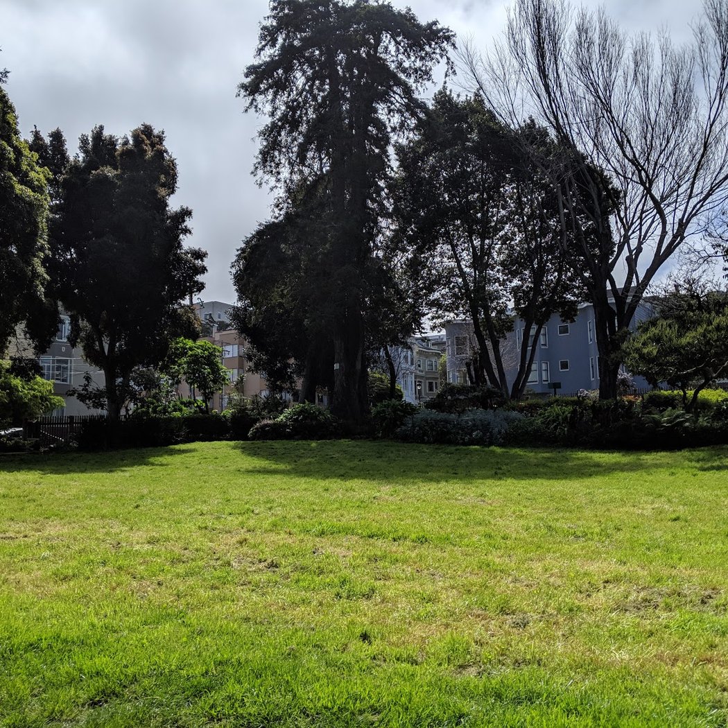 Allyne Park 2