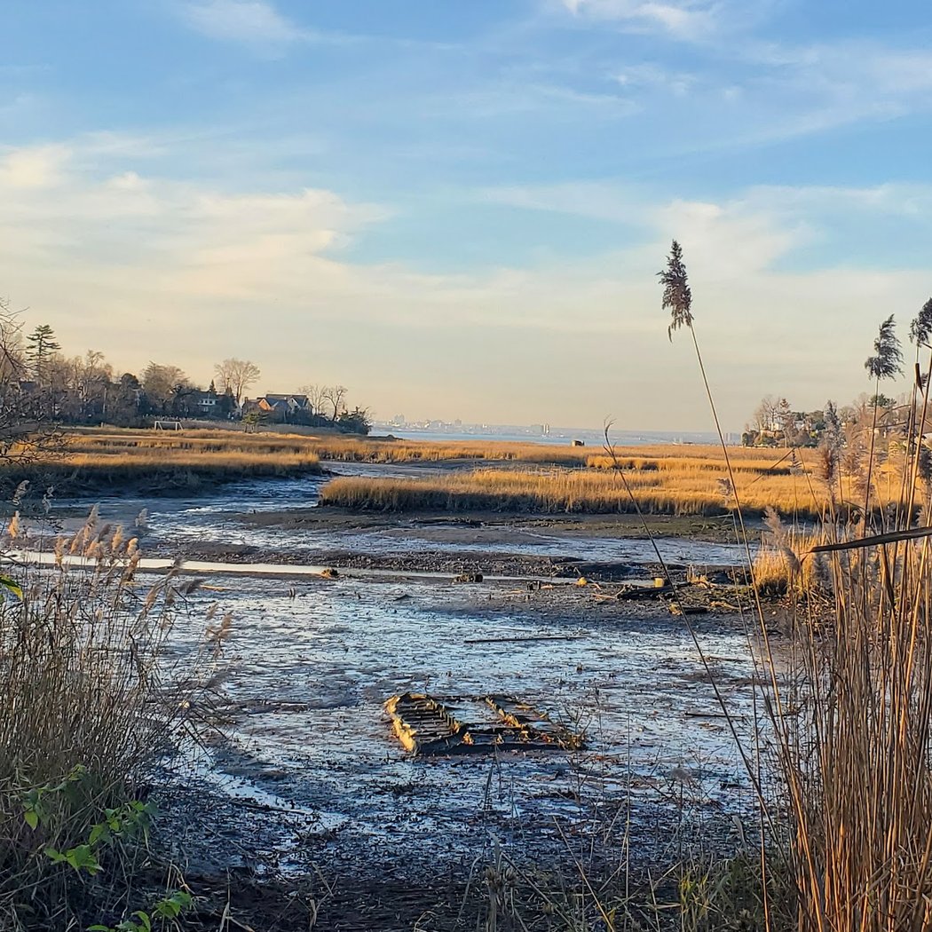 Udall's Cove And Ravine Natural Resource Area 1