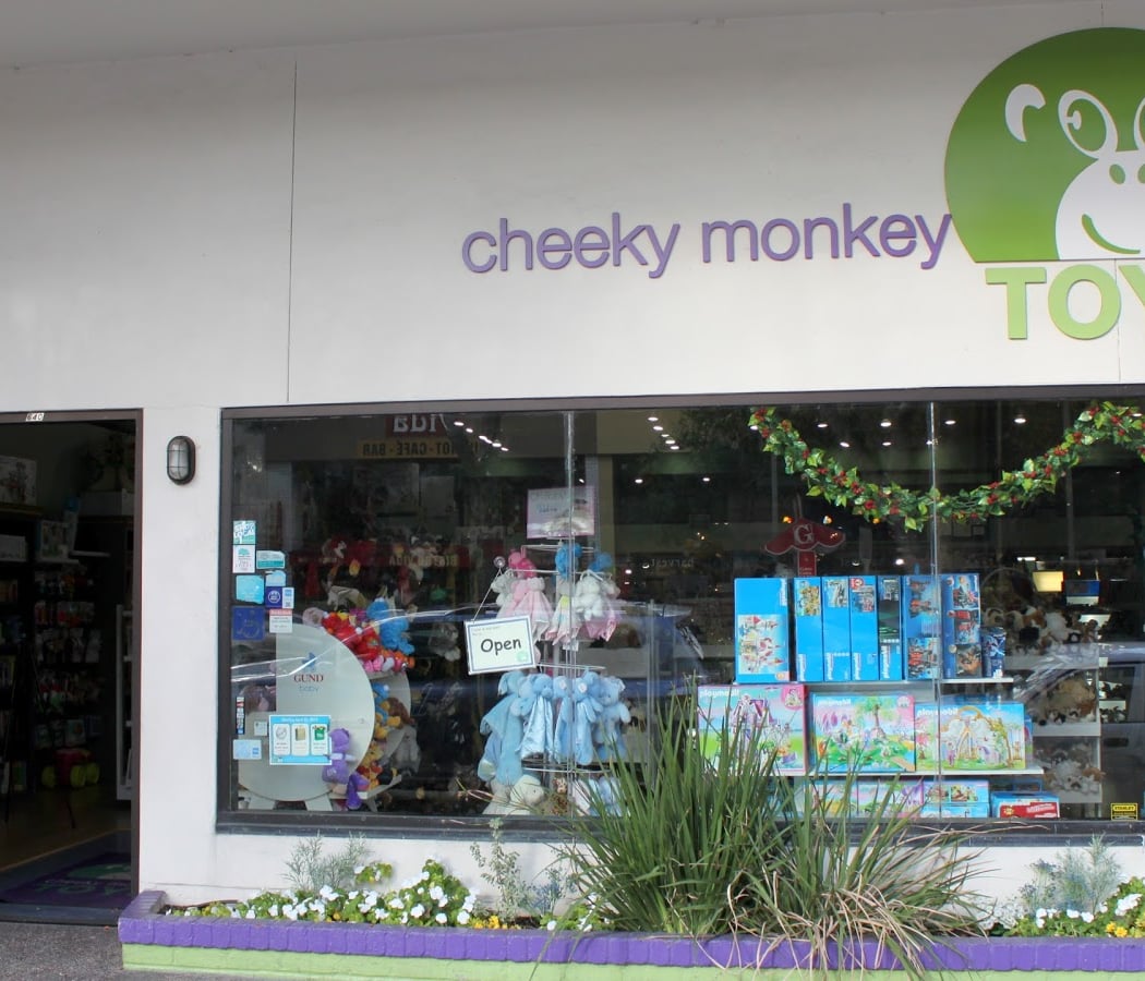 Cheeky Monkey Toys 2