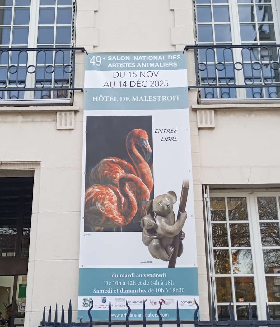 Hôtel de Malestroit 1