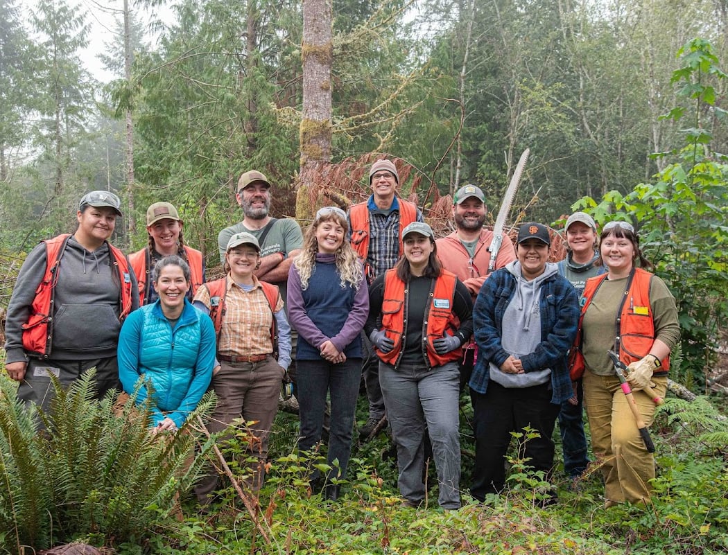 Weed Removal at the Divide Community Forest 1