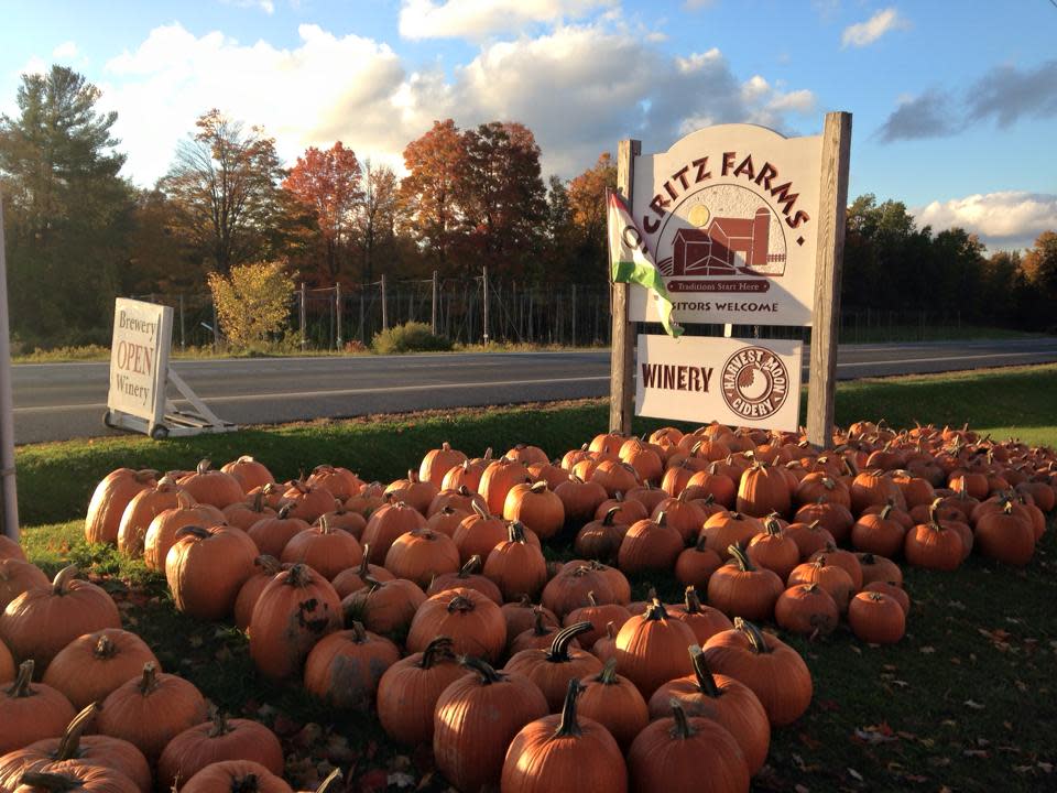Fall Harvest Celebration 3