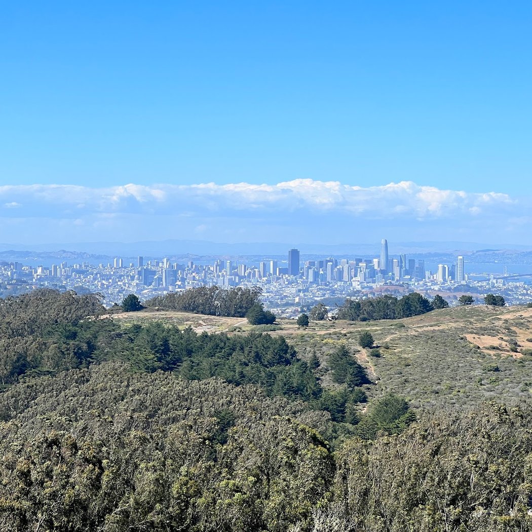 San Bruno Mountain 2