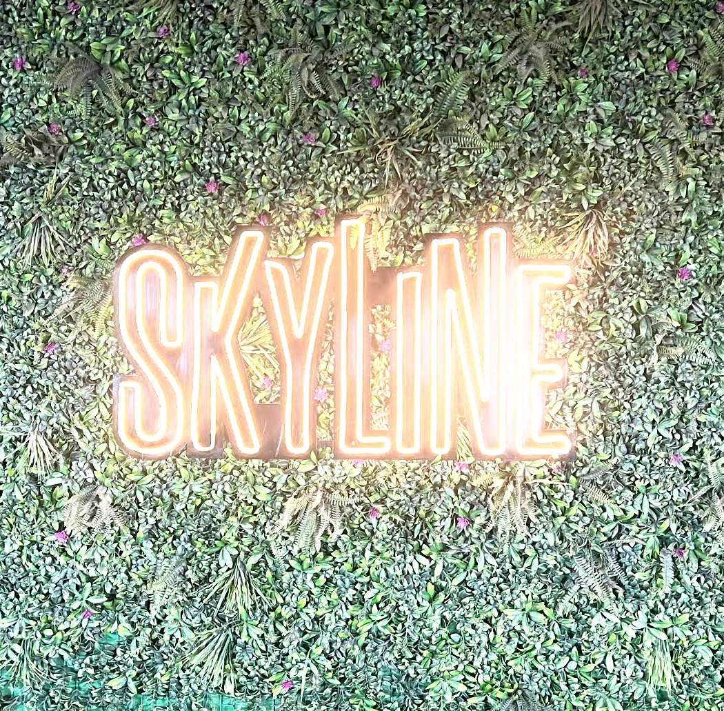 SkyLine Rooftop Bar & Kitchen 2.0 3