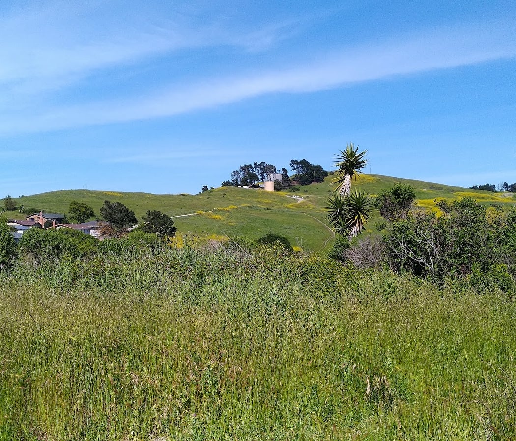 Wildcat Canyon Upper Entrance 3