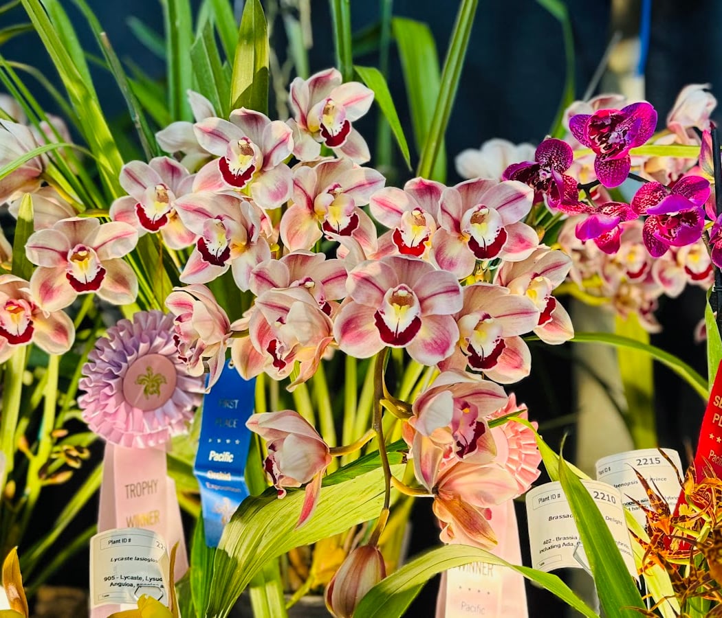 2026 Ikebana Flower Show 4