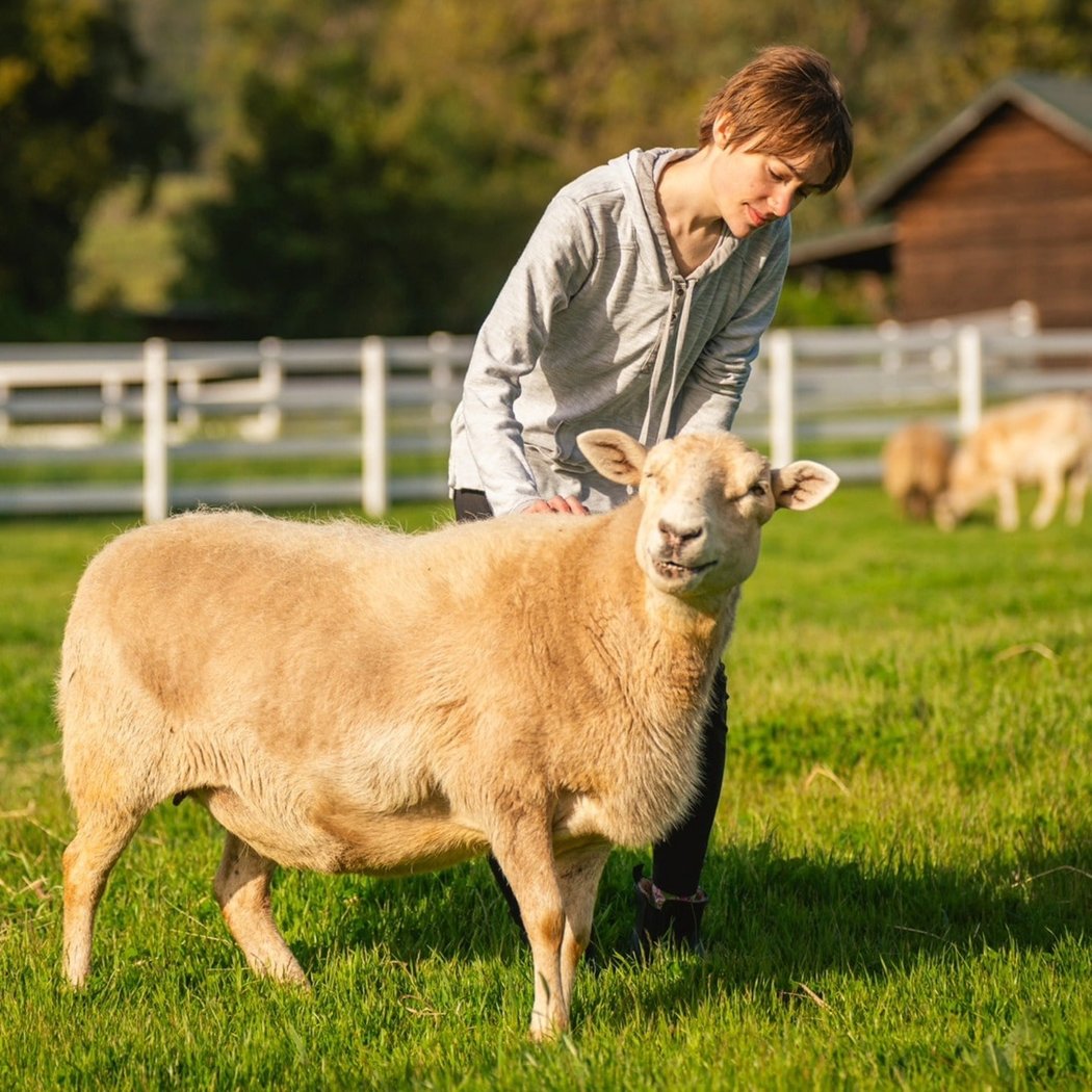 Charlie's Acres Farm Animal Sanctuary 4