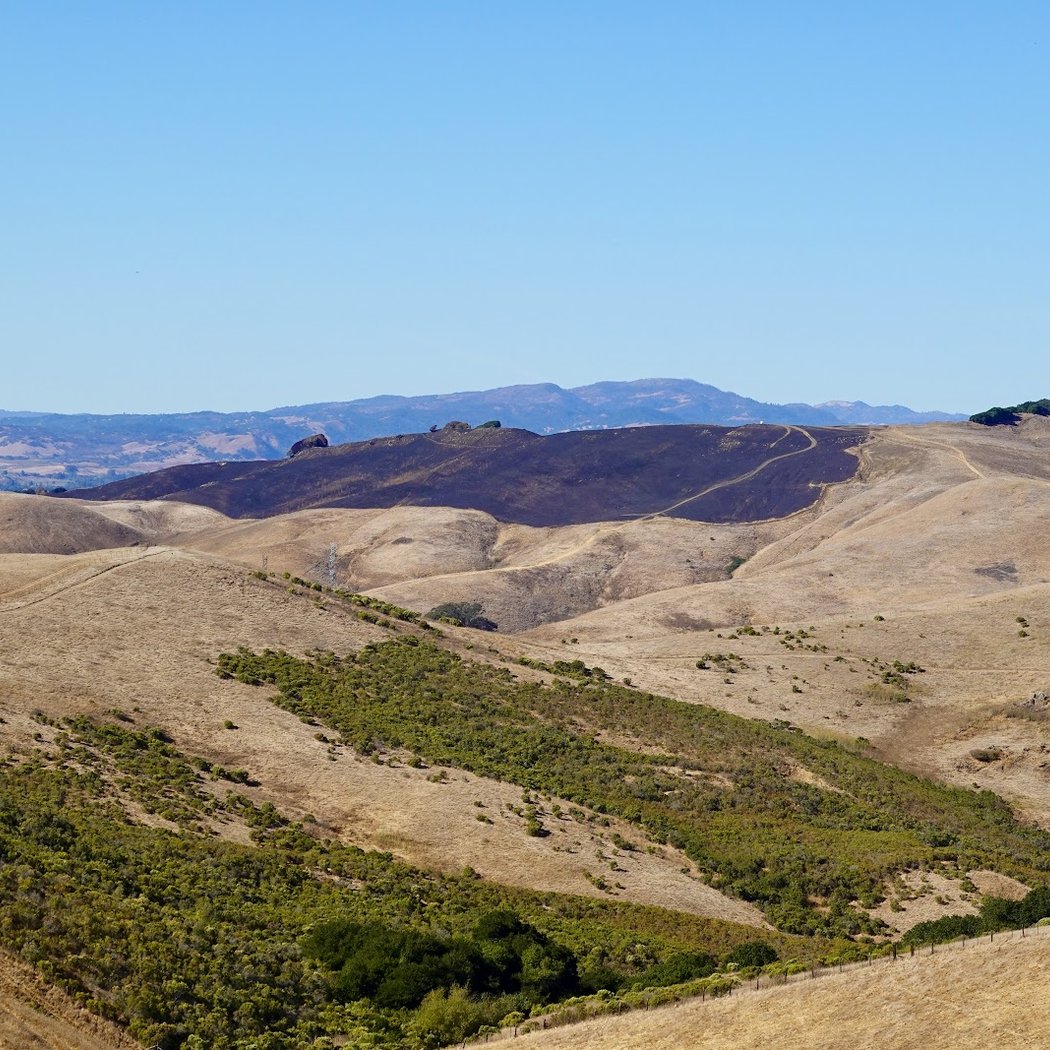 Ridge Trail 2
