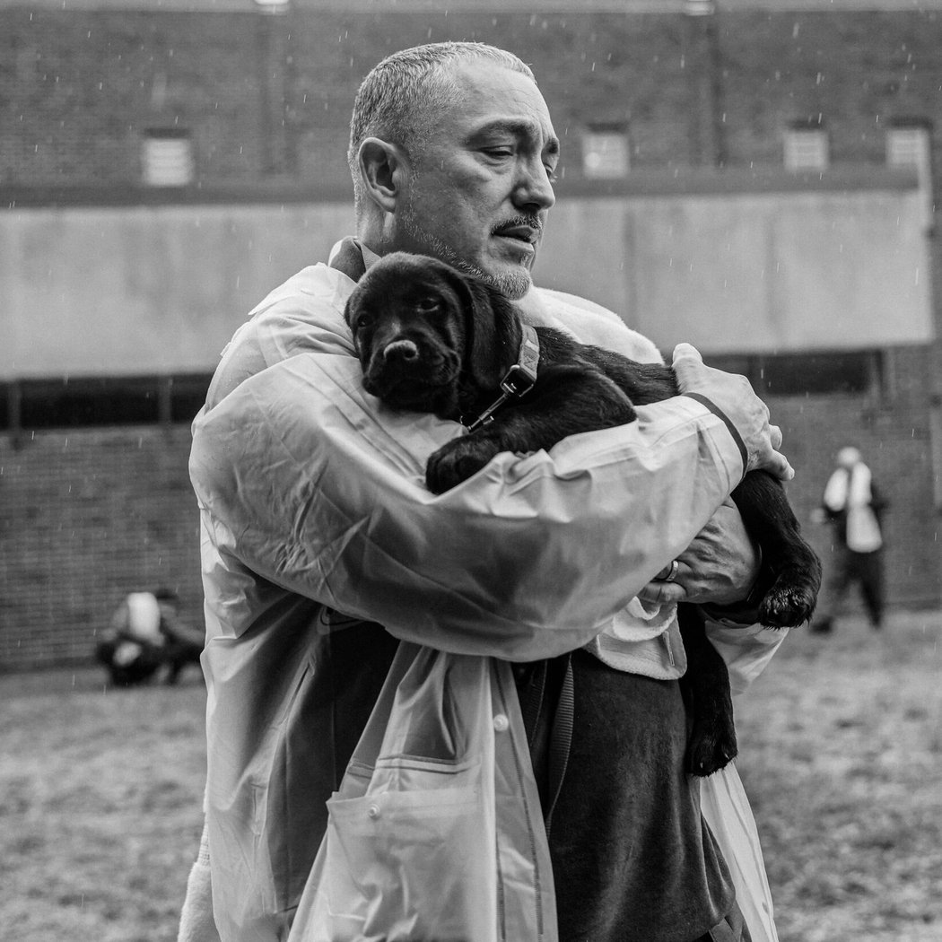Puppies Behind Bars 1
