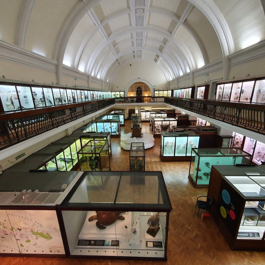 Horniman Museum and Gardens 4