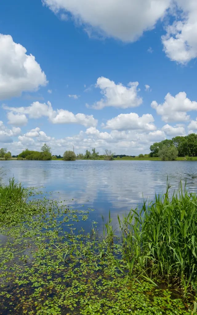 marais de Goulaine 2