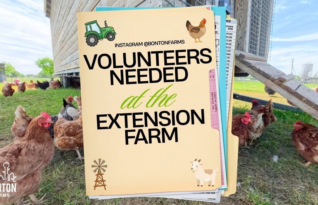 Weekday Work at the Extension Farm 2