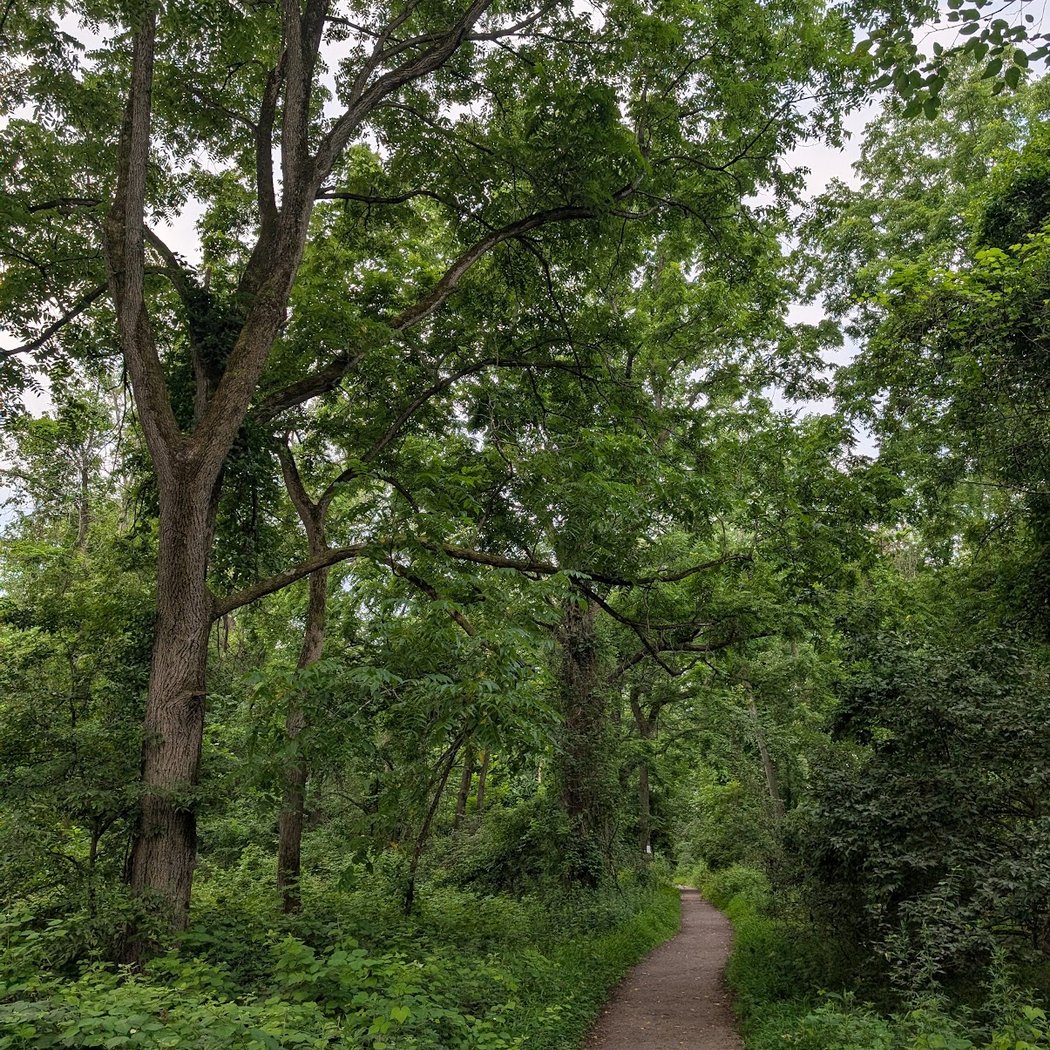 Dennings Point Trailhead Parking 1