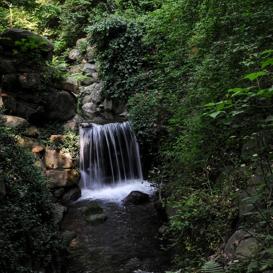 Ravine 1