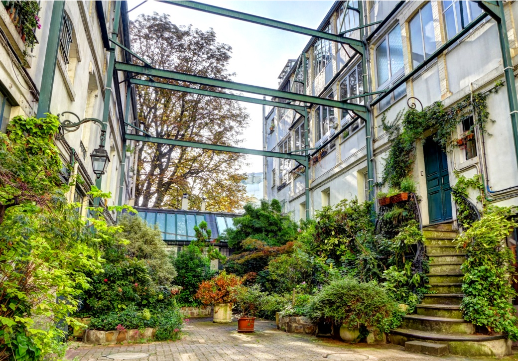 Yoga Iyengar Workshops 2