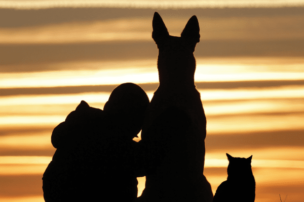 Companion Animal Loss Support Group 1