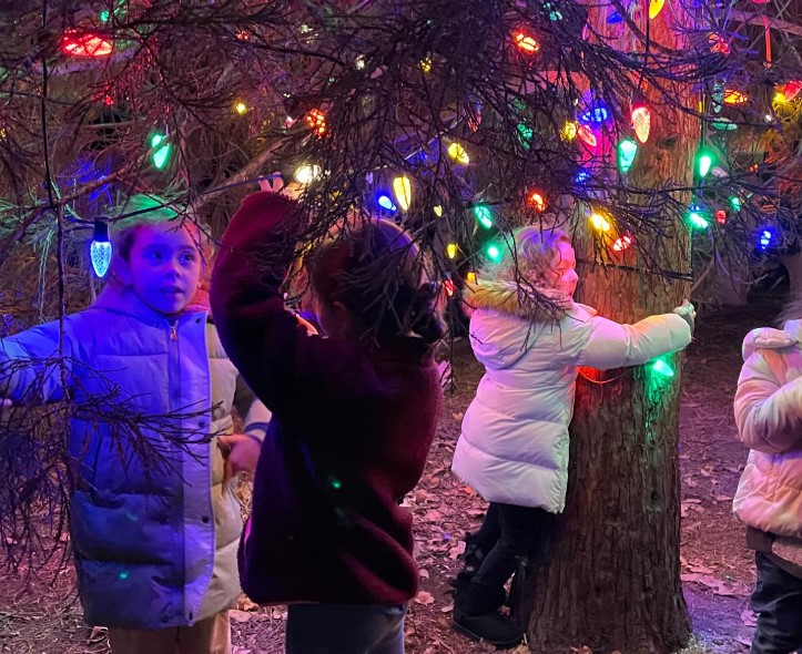 Christmas Tree Lighting 1