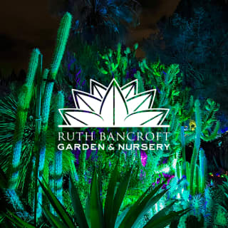 Garden of D’Lights 3