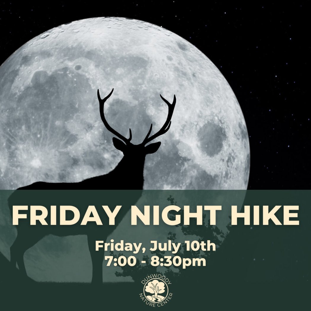 Friday Night Hike 1