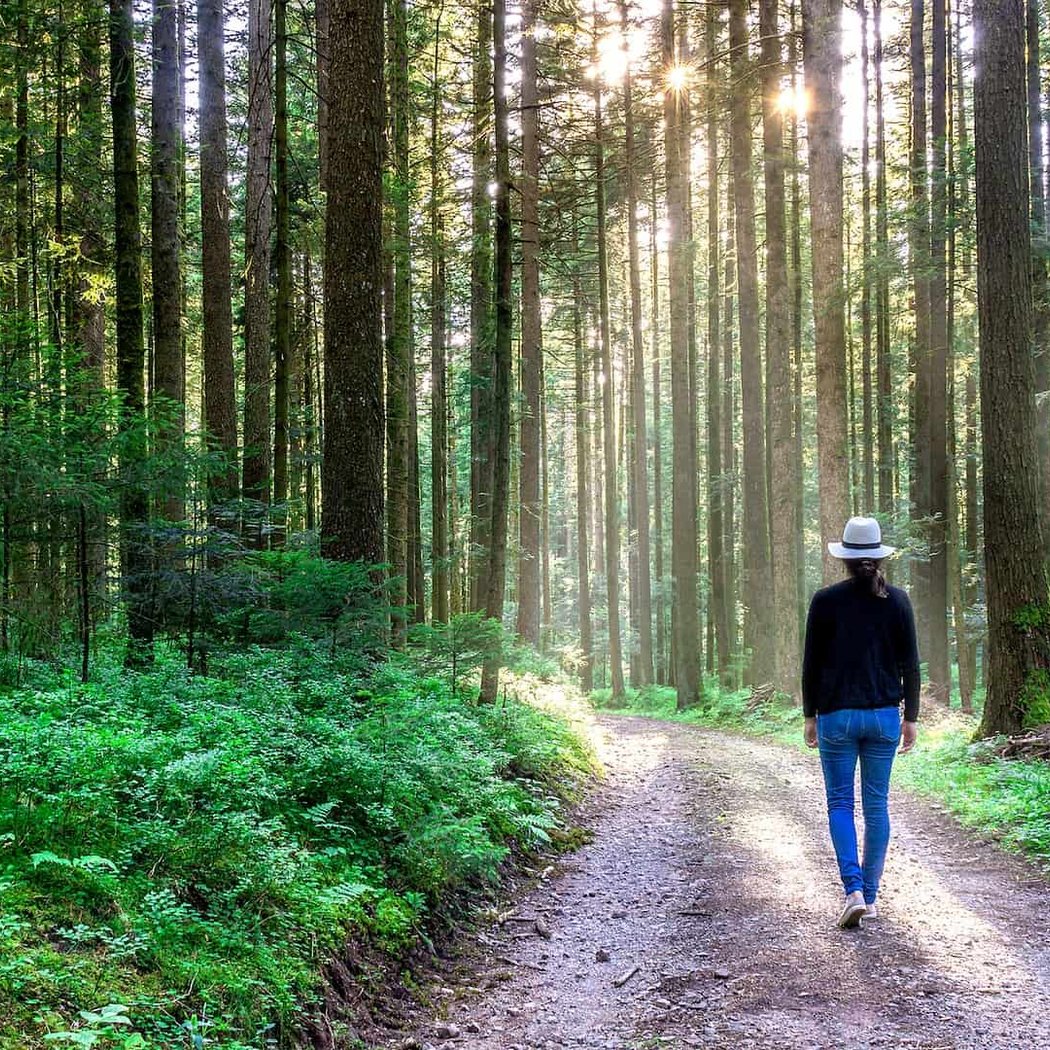 Guided Forest Bathing 3