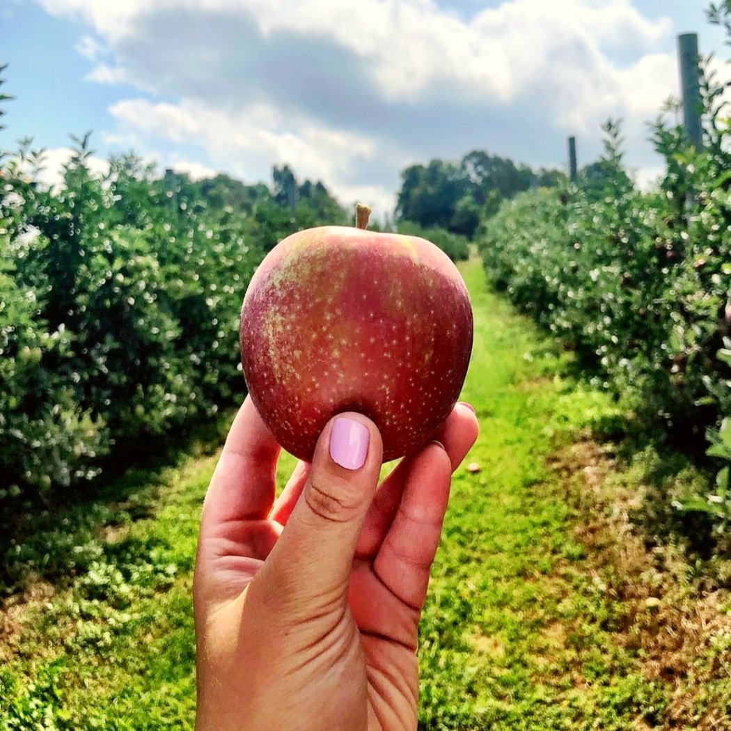 Outhouse Orchards 2